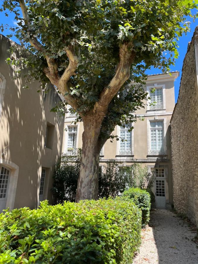 Noves Superbe Appartement De Charme A 10Mn De Saint-Remy מראה חיצוני תמונה