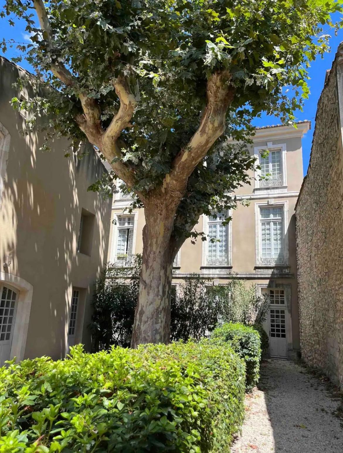 Noves Superbe Appartement De Charme A 10Mn De Saint-Remy מראה חיצוני תמונה